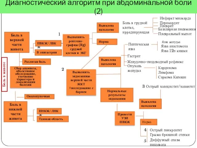 Норма Острый панкреатит Грыжа брюшной стенки Диффузный спазм пищевода Язва желудка