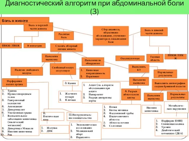 Боль в животе Сбор анамнеза, объективное обследование, уточнение характера и локализации