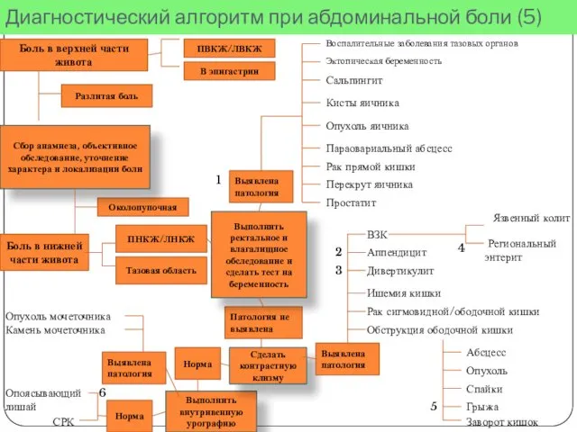 Диагностический алгоритм при абдоминальной боли (5) Боль в верхней части живота