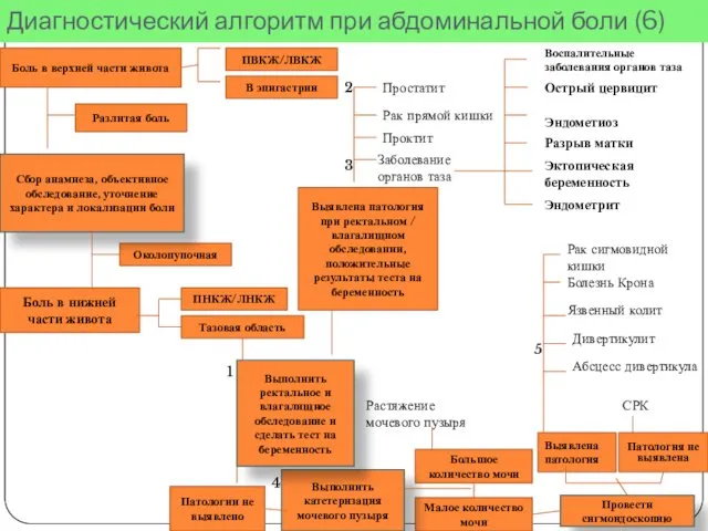 Диагностический алгоритм при абдоминальной боли (6) Боль в верхней части живота