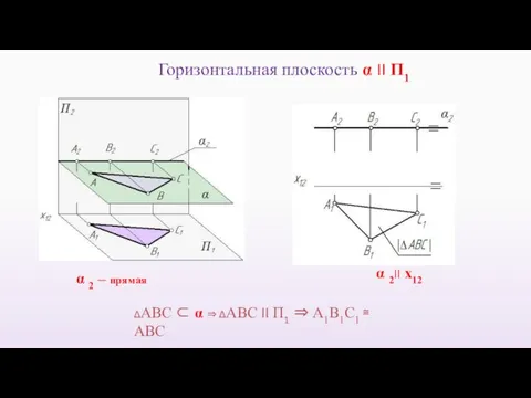 α 2 – прямая ΔАВС ⊂ α ⇒ ΔАВС II П1