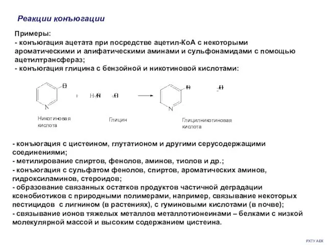 РХТУ АЕК Реакции конъюгации Примеры: - конъюгация ацетата при посредстве ацетил-КоА