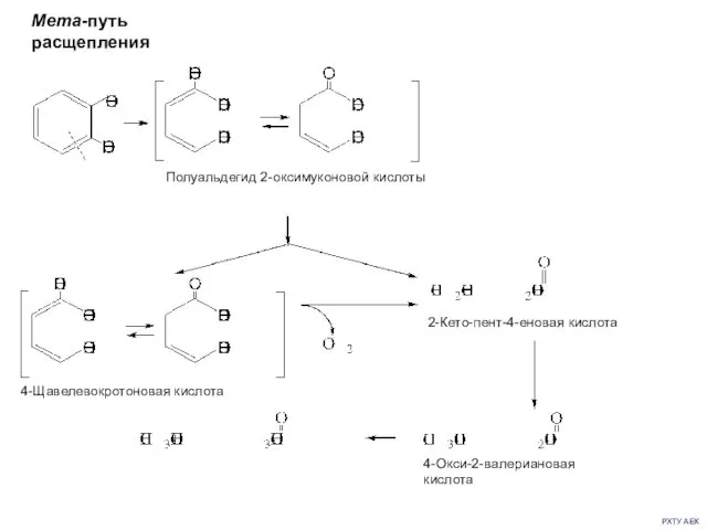 РХТУ АЕК Мета-путь расщепления