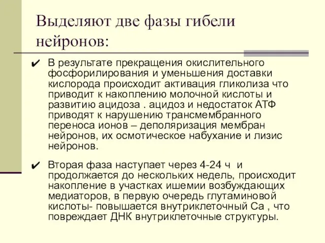 Выделяют две фазы гибели нейронов: В результате прекращения окислительного фосфорилирования и