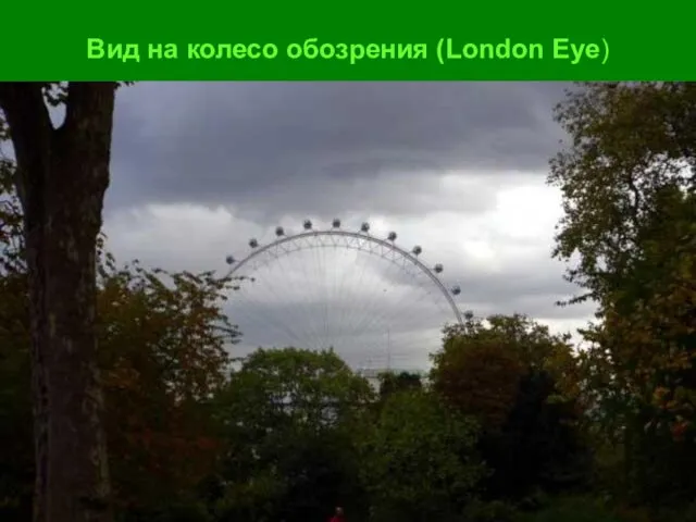 Вид на колесо обозрения (London Eye)