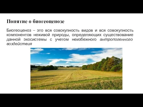 Понятие о биогеоценозе Биогеоценоз – это вся совокупность видов и вся