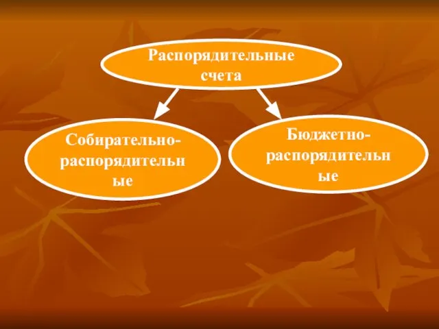 Распорядительные счета Собирательно- распорядительные Бюджетно- распорядительные