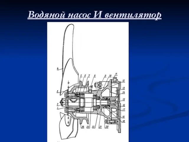 Водяной насос И вентилятор