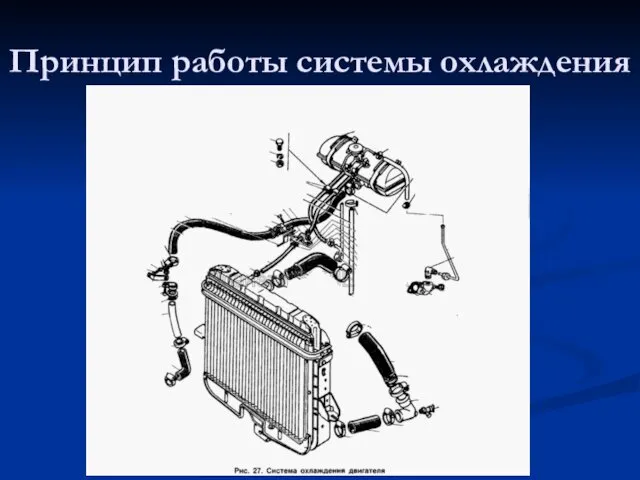 Принцип работы системы охлаждения