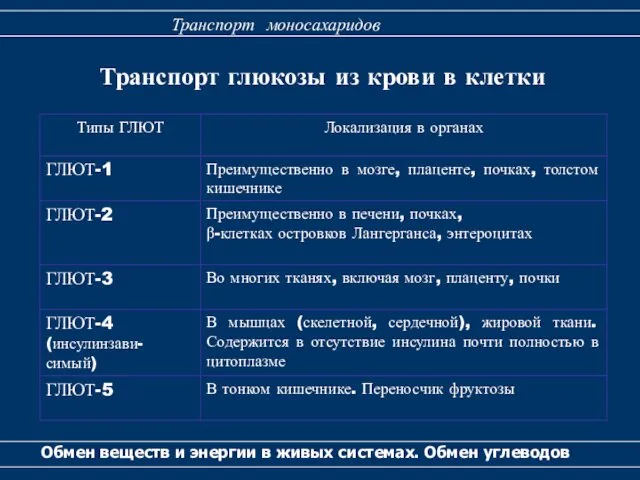 Транспорт глюкозы из крови в клетки Обмен веществ и энергии в