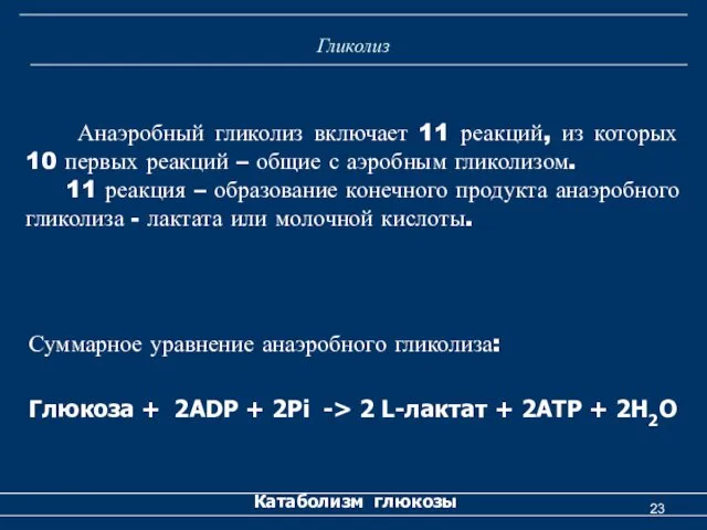 Гликолиз Суммарное уравнение анаэробного гликолиза: Глюкоза + 2ADP + 2Pi ->