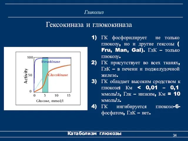 Гликолиз Катаболизм глюкозы Гексокиназа и глюкокиназа ГК фосфорилирует не только глюкозу,