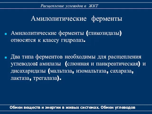 Амилолитические ферменты (гликозидазы) относятся к классу гидролаз. Два типа ферментов необходимы