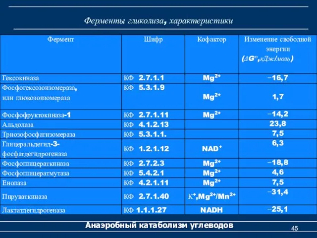 Ферменты гликолиза, характеристики Анаэробный катаболизм углеводов