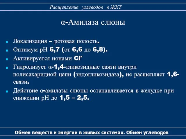 Локализация – ротовая полость. Оптимум рН 6,7 (от 6,6 до 6,8).