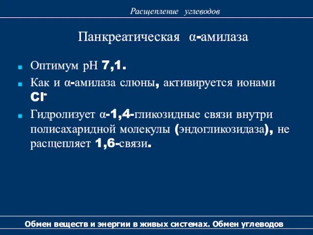 Панкреатическая α-амилаза Обмен веществ и энергии в живых системах. Обмен углеводов