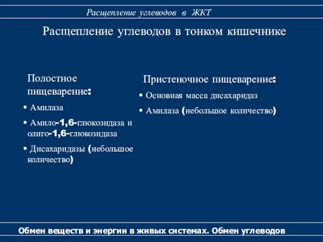 Расщепление углеводов в тонком кишечнике Полостное пищеварение: Амилаза Амило-1,6-глюкозидаза и олиго-1,6-глюкозидаза