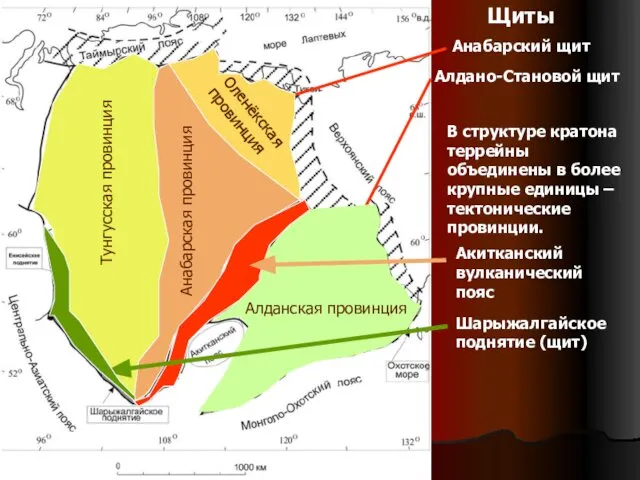 Щиты В структуре кратона террейны объединены в более крупные единицы – тектонические провинции.