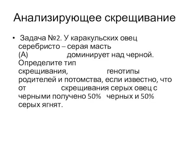 Анализирующее скрещивание Задача №2. У каракульских овец серебристо – серая масть