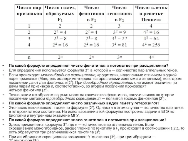 По какой формуле определяют число фенотипов в потомстве при расщеплении? Для