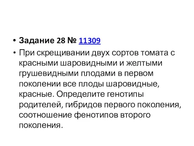 Задание 28 № 11309 При скрещивании двух сортов томата с красными