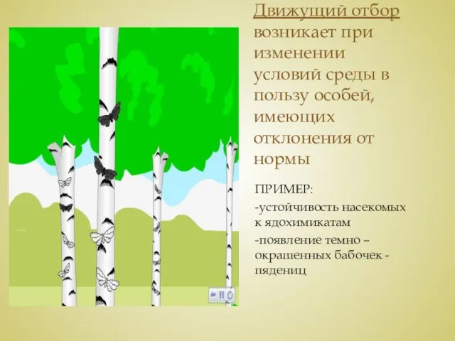 Движущий отбор возникает при изменении условий среды в пользу особей, имеющих