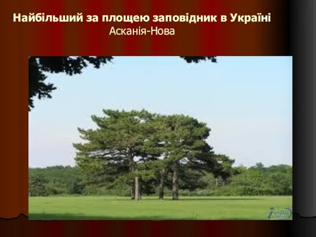 Найбільший за площею заповідник в Україні Асканія-Нова