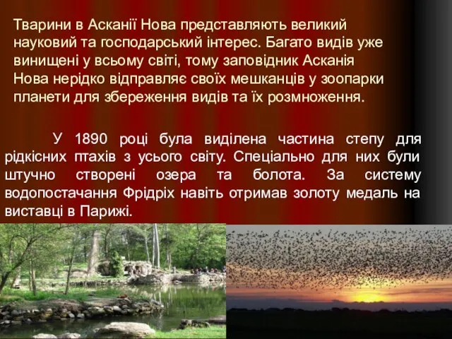 Тварини в Асканії Нова представляють великий науковий та господарський інтерес. Багато