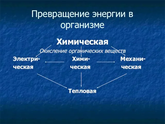 Превращение энергии в организме Химическая Окисление органических веществ Электри- Хими- Механи- ческая ческая ческая Тепловая