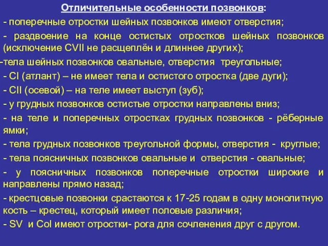 Отличительные особенности позвонков: - поперечные отростки шейных позвонков имеют отверстия; -