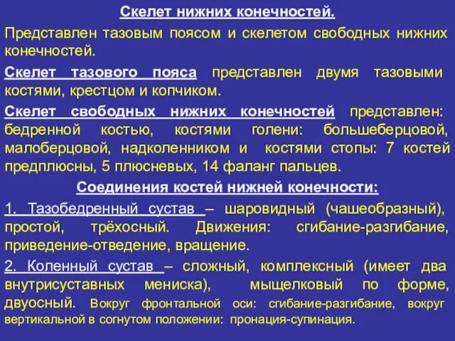 Скелет нижних конечностей. Представлен тазовым поясом и скелетом свободных нижних конечностей.