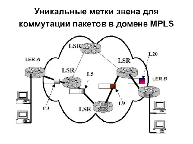 Уникальные метки звена для коммутации пакетов в домене MPLS