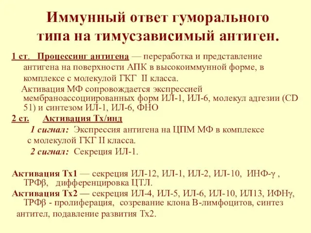 Иммунный ответ гуморального типа на тимусзависимый антиген. 1 ст. Процессинг антигена