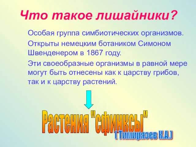 Что такое лишайники? Особая группа симбиотических организмов. Открыты немецким ботаником Симоном