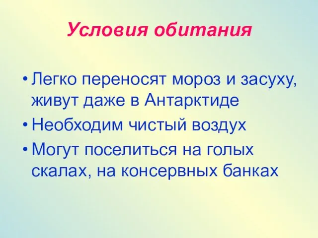 Условия обитания Легко переносят мороз и засуху, живут даже в Антарктиде