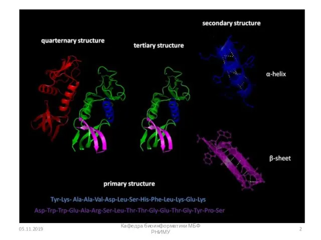 05.11.2019 Кафедра биоинформатики МБФ РНИМУ