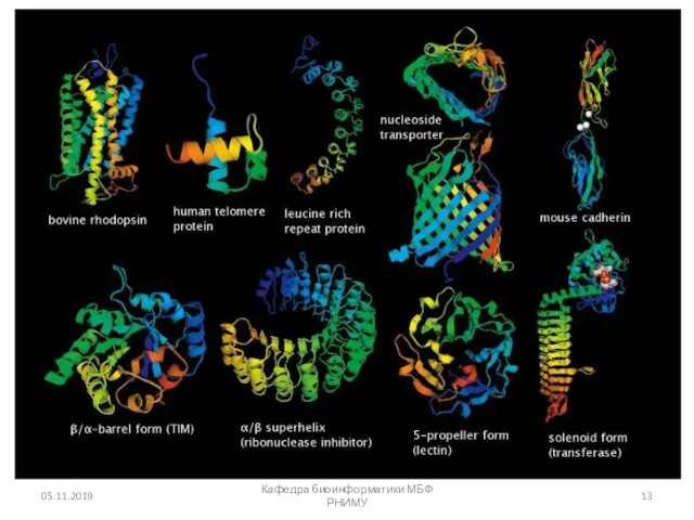 05.11.2019 Кафедра биоинформатики МБФ РНИМУ