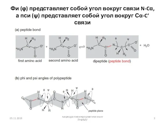 Фи (φ) представляет собой угол вокруг связи N-Cα, а пси (ψ)