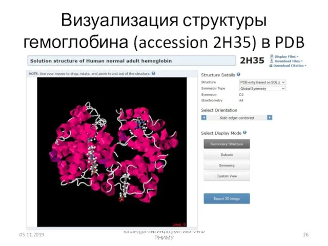 Визуализация структуры гемоглобина (accession 2H35) в PDB 05.11.2019 Кафедра биоинформатики МБФ РНИМУ