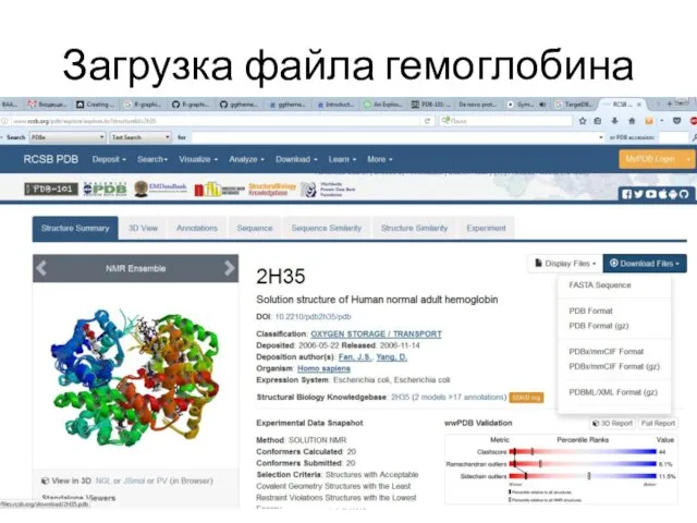 Загрузка файла гемоглобина 05.11.2019 Кафедра биоинформатики МБФ РНИМУ