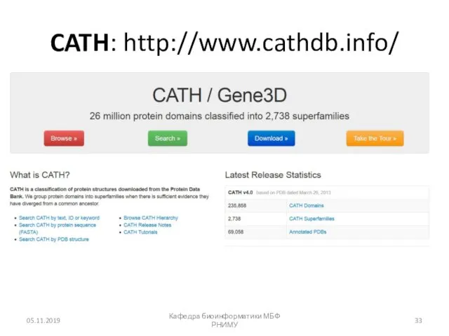 CATH: http://www.cathdb.info/ 05.11.2019 Кафедра биоинформатики МБФ РНИМУ