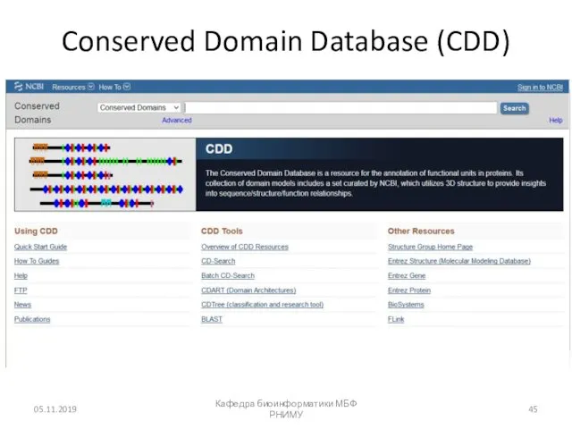 Conserved Domain Database (CDD) 05.11.2019 Кафедра биоинформатики МБФ РНИМУ