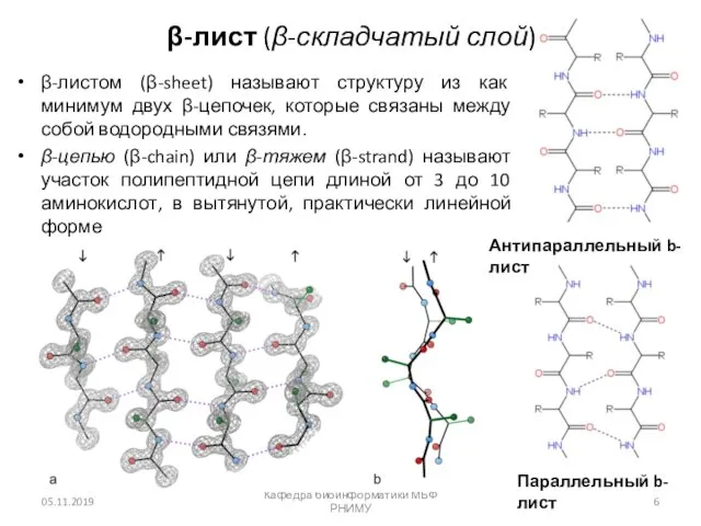 β-лист (β-складчатый слой) β-листом (β-sheet) называют структуру из как минимум двух