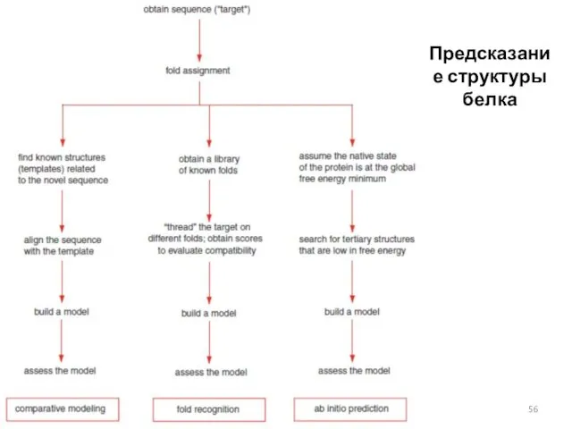 Предсказание структуры белка 05.11.2019 Кафедра биоинформатики МБФ РНИМУ