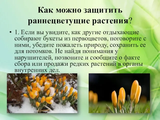 Как можно защитить раннецветущие растения? 1. Если вы увидите, как другие