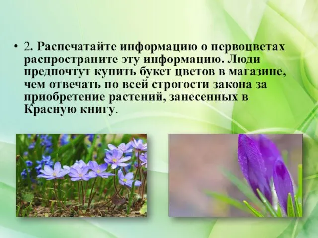 2. Распечатайте информацию о первоцветах распространите эту информацию. Люди предпочтут купить