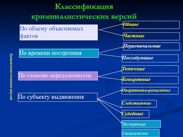 Классификация криминалистических версий Криминалистические версии Оперативно-розыскные Следственные По объему объясняемых фактов