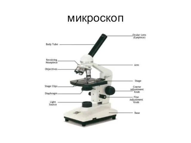 микроскоп