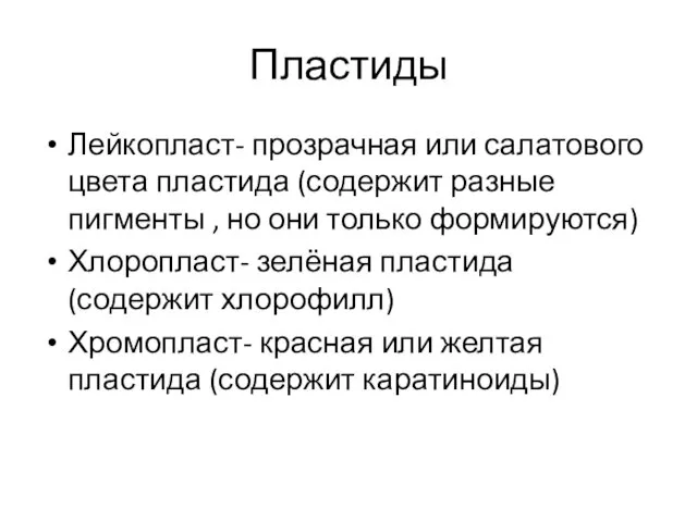 Пластиды Лейкопласт- прозрачная или салатового цвета пластида (содержит разные пигменты ,