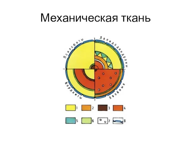 Механическая ткань